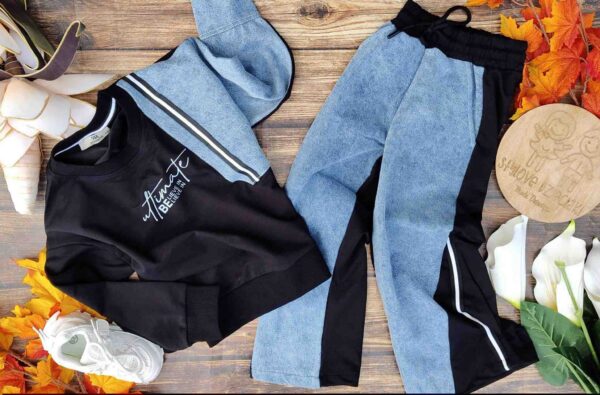 Dres pół jeans bluza + spodnie szwedy