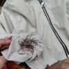 Rozpinana bomberka bez kaptura